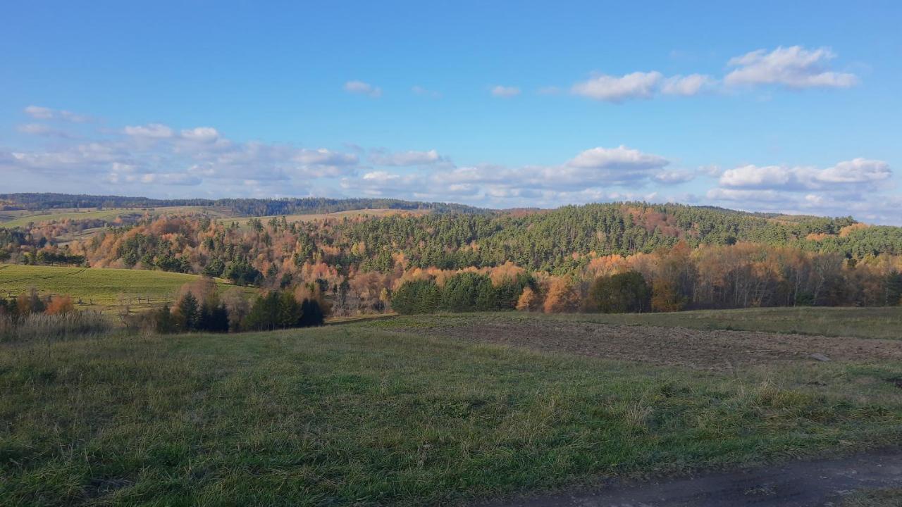 Zarniczki 693-387-544 Holiday home