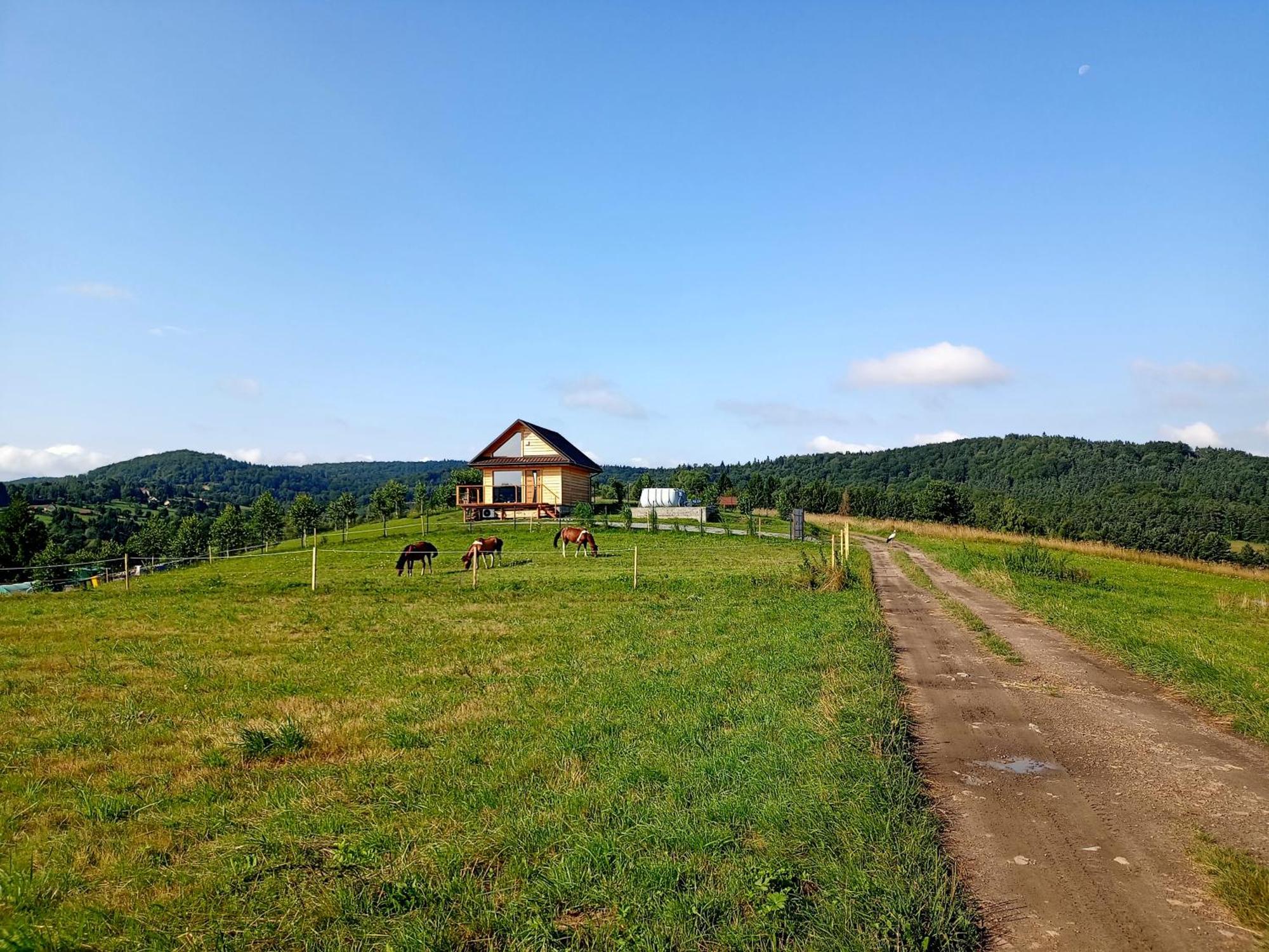 Zarniczki 693-387-544 * Polanczyk
